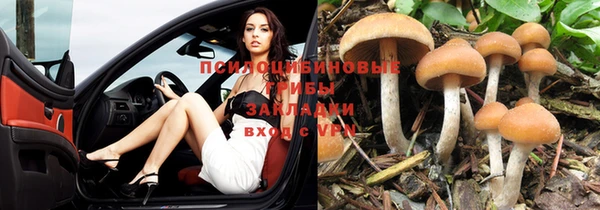 таблы Белокуриха
