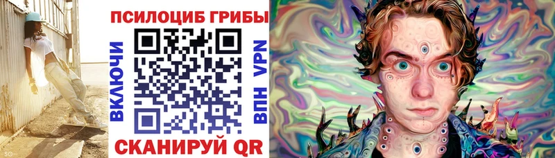 Псилоцибиновые грибы MAGIC MUSHROOMS  где купить наркоту  Реж 
